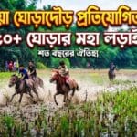 শত বছরের লোকজ ঐতিহ্য: কাপাসিয়ার বরিবাড়িতে জমজমাট ঘোড়াদৌড় প্রতিযোগিতা ২০২৬, মাতল হাজারো দর্শক!
